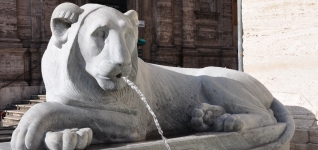 Picture of the day, taken in Rome, Italy