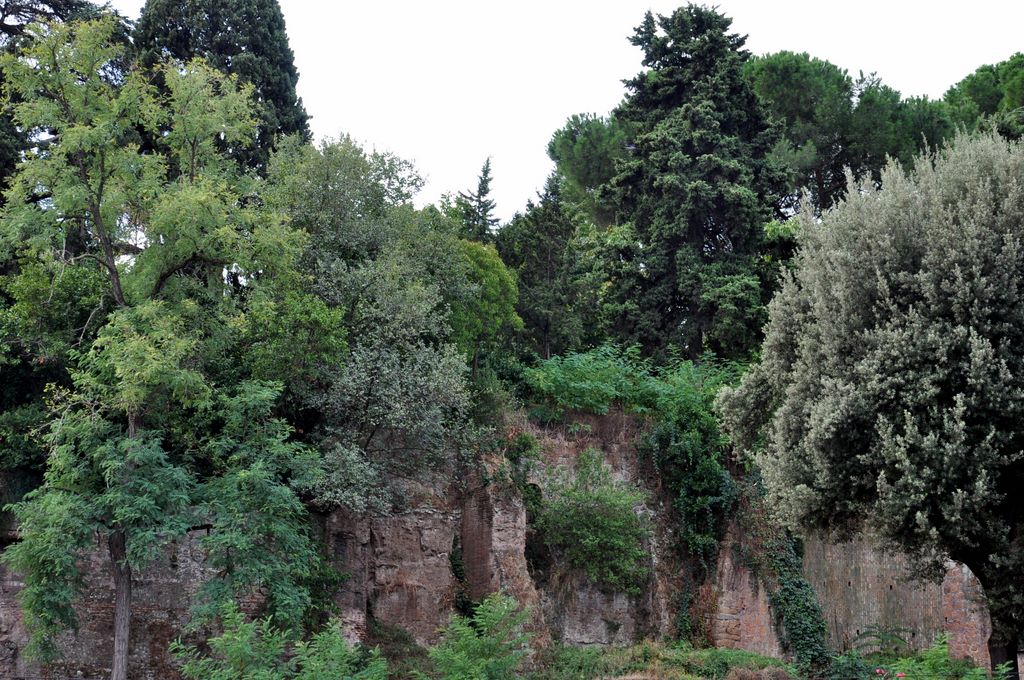 The Colosseum, Rome, Italy.