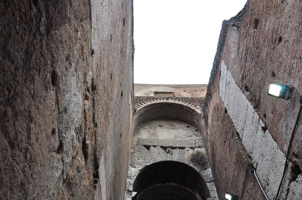 The Colosseum, Rome, Italy.