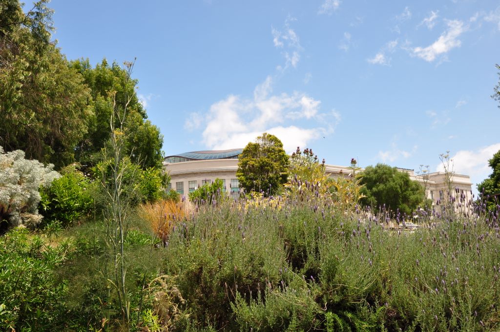 Parnell, New Zealand.