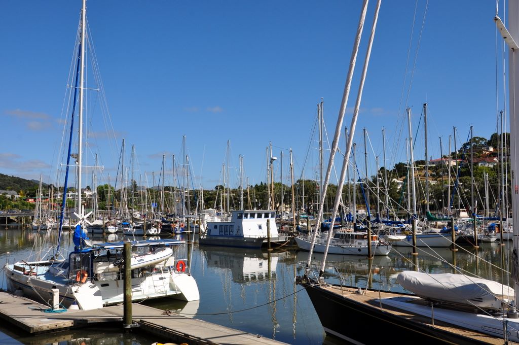 Whangarei, New Zealand.