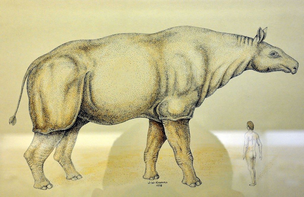 University Museum of Zoology Cambridge, Cambridge, UK.