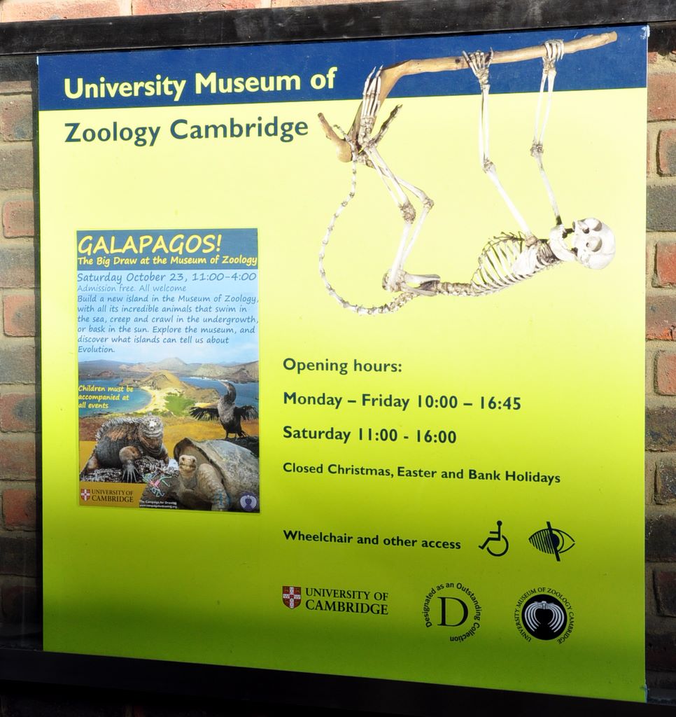 University Museum of Zoology Cambridge, Cambridge, UK.