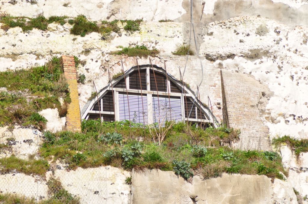 The White cliffs of Dover