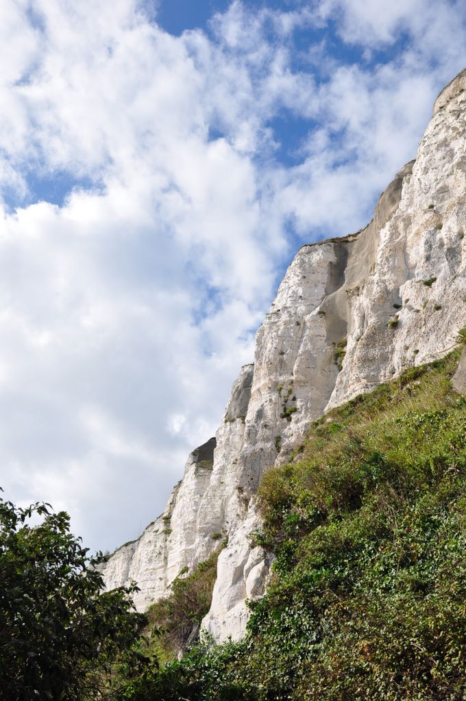 The White cliffs of Dover