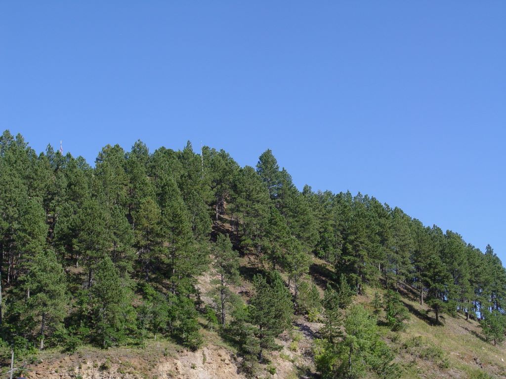 Deadwood, South Dakota, USA.