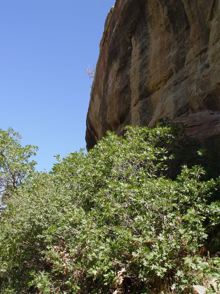 Mesa Verde National Park, Colorado, USA.