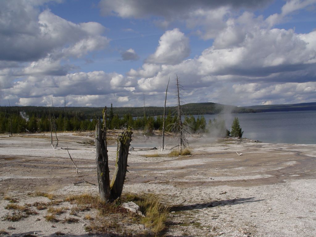 Yellowstone National Park, Wyoming, USA.