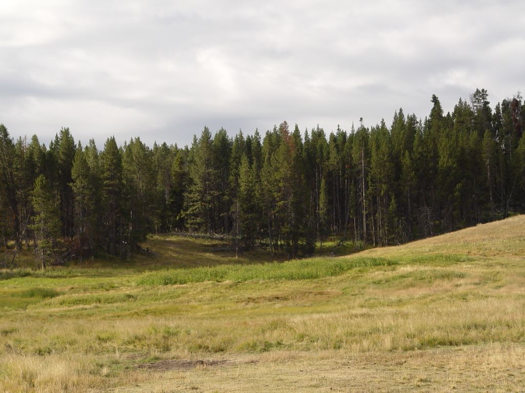 Yellowstone National Park, Wyoming, USA.