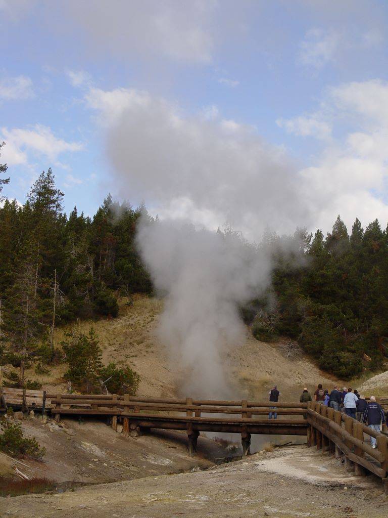 Yellowstone National Park, Wyoming, USA.