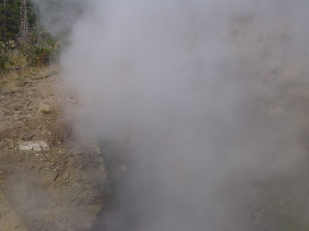 Yellowstone National Park, Wyoming, USA.