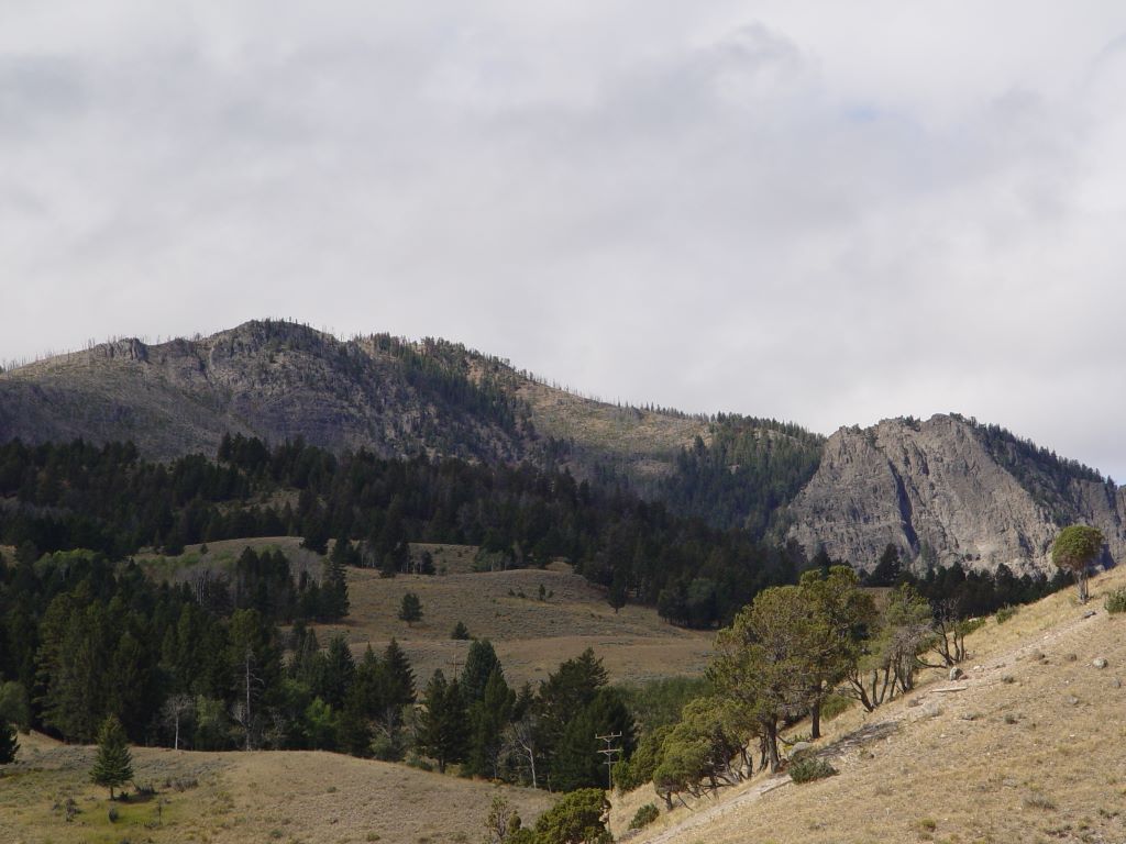 Yellowstone National Park, Wyoming, USA.